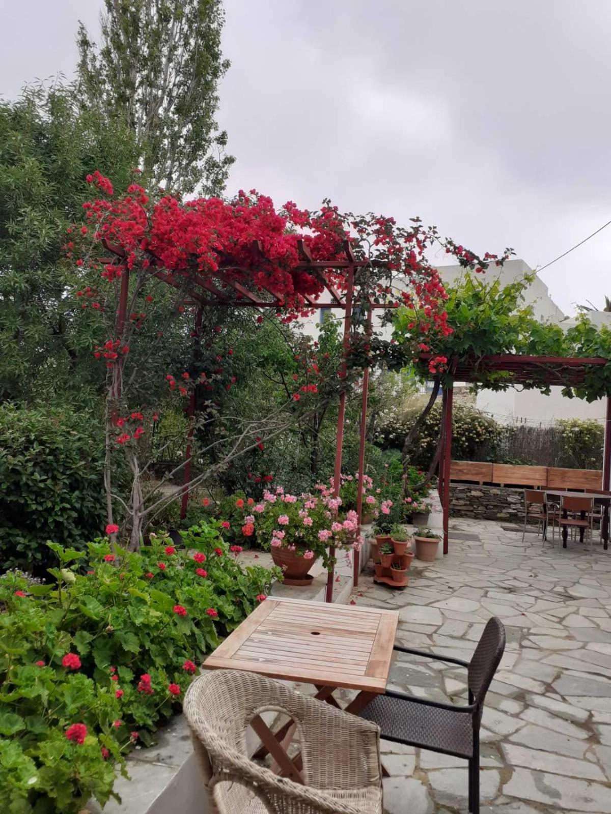 Kipos Daire Apollonía Dış mekan fotoğraf