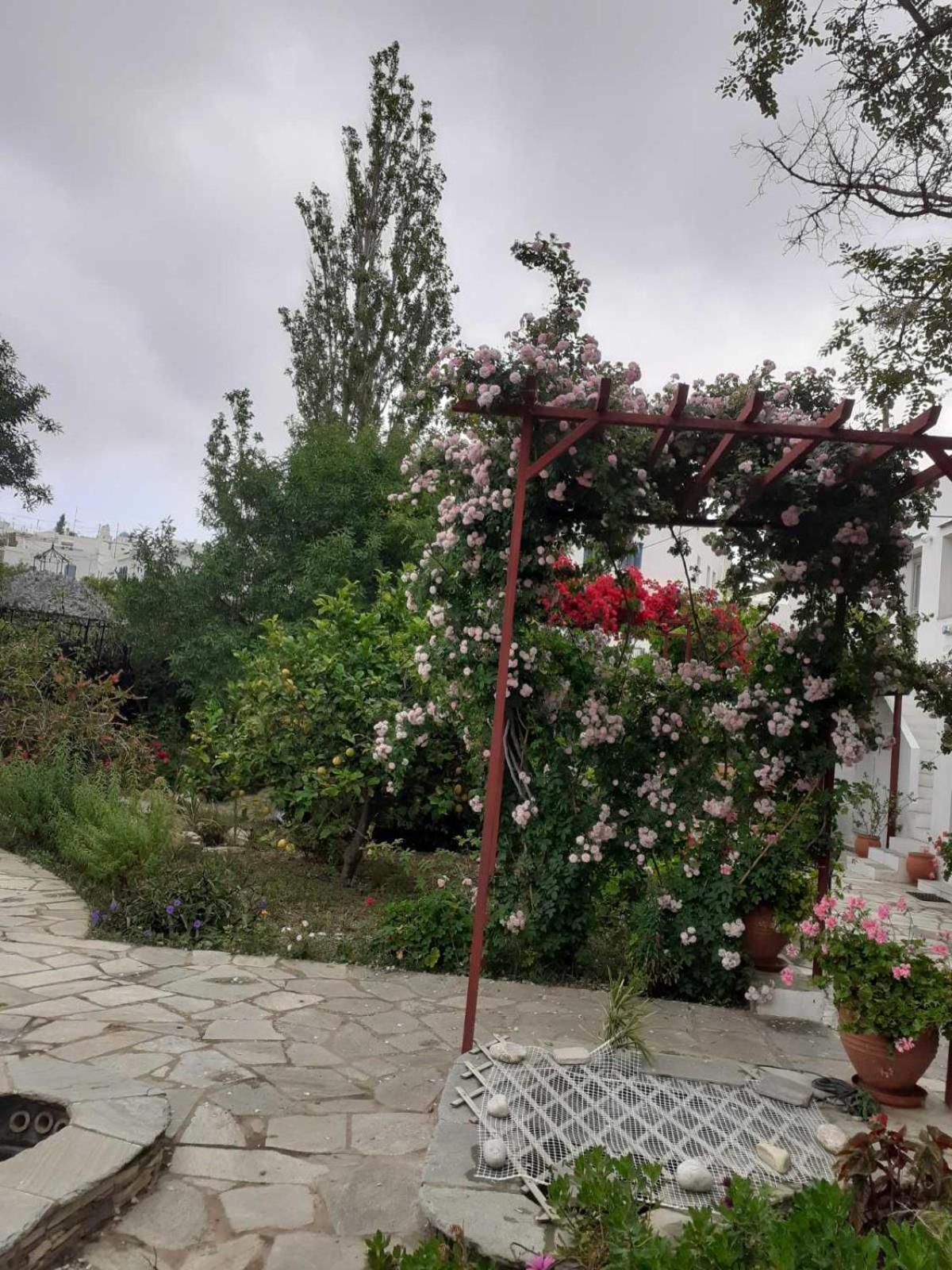 Kipos Daire Apollonía Dış mekan fotoğraf