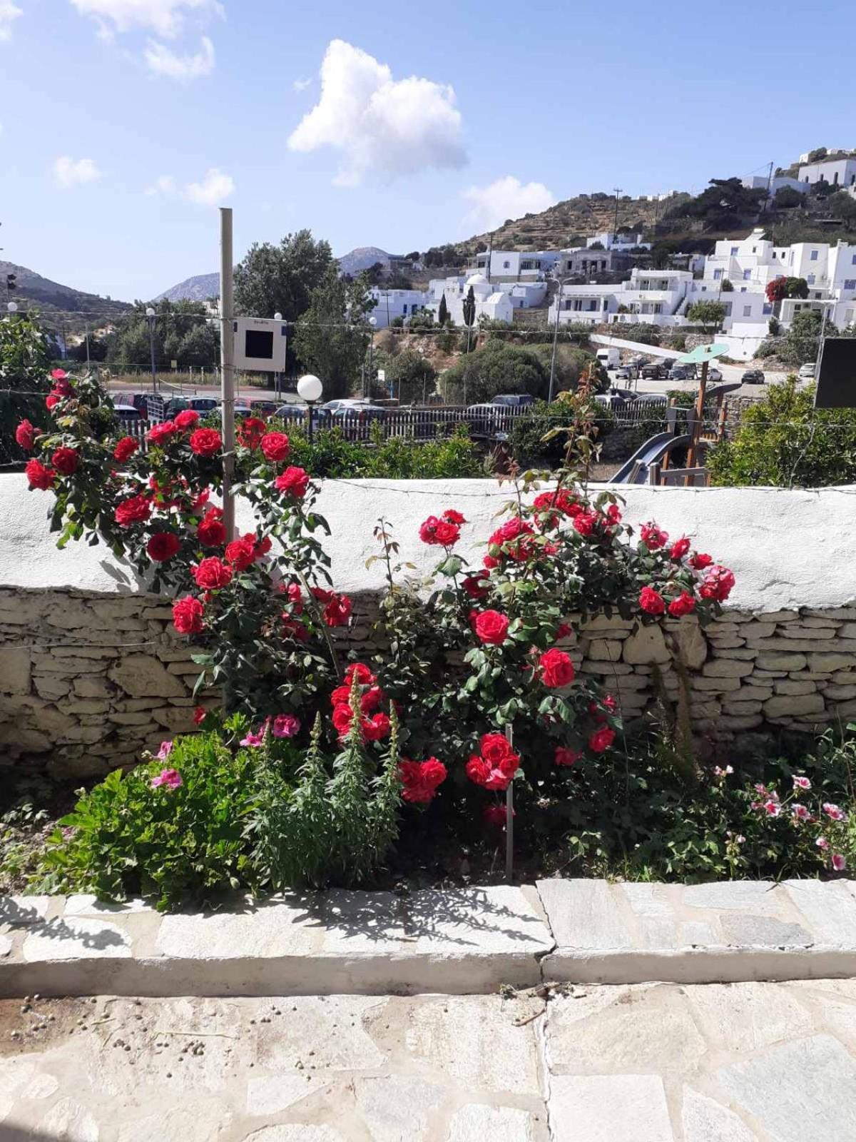 Kipos Daire Apollonía Dış mekan fotoğraf